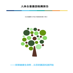 人体全套基因检测项目